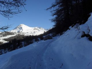 l'arrivo all'alpeggio piu' alto