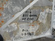 Bec Baral