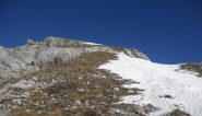 la cresta, pelata
