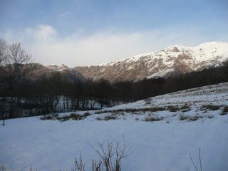 Quinseina