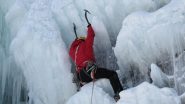posizione di relax su un cavolo
