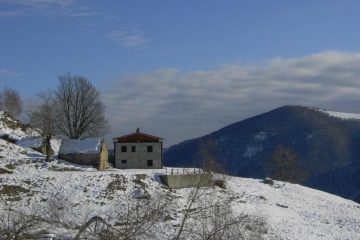 Alpe Briolo