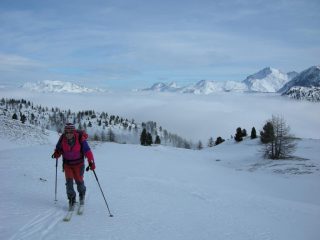 fuori dalla nebbia