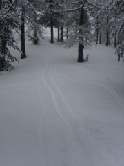 03 - in alto, scri dritti a vale o quasi... ma si scende
