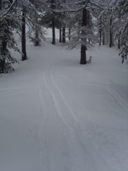 03 - in alto, scri dritti a vale o quasi... ma si scende