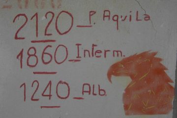 Altimetria..