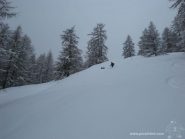 neve bellissima