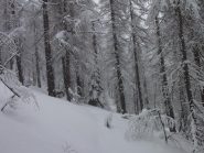 incantevole