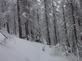 incantevole