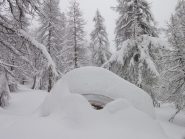 un po di neve