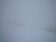 Forse sono in vetta