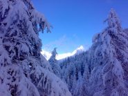 Partenza da favola..