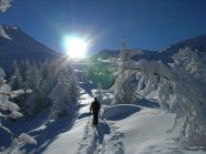 Bellissima giornata.