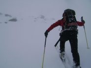 in prossimità del colletto