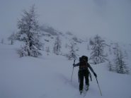 nel valloncello, visibilità ottima!