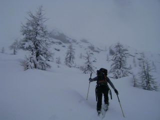 nel valloncello, visibilità ottima!