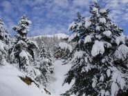 la baita degli gnomi