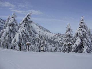 il colle birrone magico