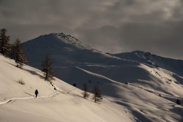 traverso