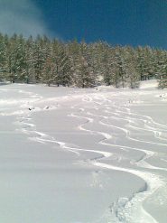 ...curve curve curve... !!