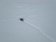 Incontri particolari