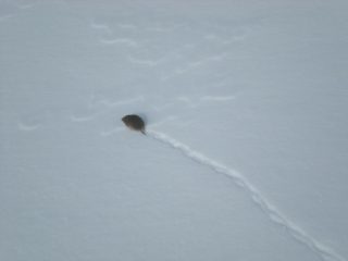 Incontri particolari