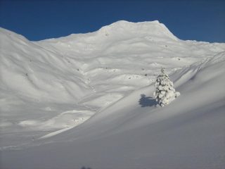 parte bassa