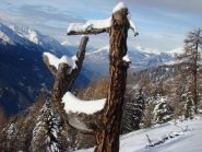 un folletto nel bosco