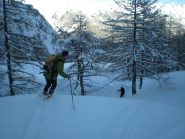 ottima farina nel bosco