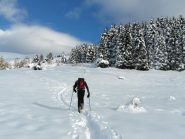 in salita nei pressi del rimboschimento