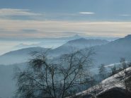 Verso il Viso