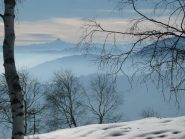 Verso il Viso