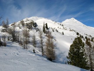 Uscendo dal bosco