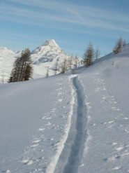 traccia viso