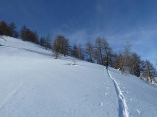 Pendii intonsi !!!