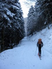pista battuta