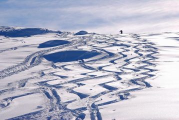 arrivando in cima
