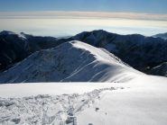 La bella dorsale