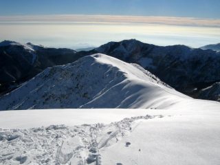 La bella dorsale