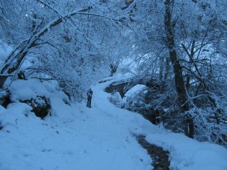 Verso Piana del Ponte