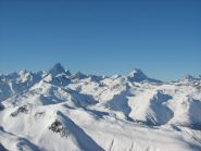 Oberland Bernese 