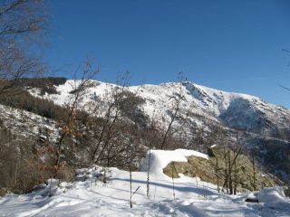 Da sotto