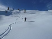 Renato pennella sulla farina 00