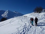 fuori dal bosco