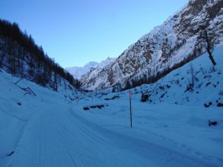 zona landeniera verso l'alpe meys