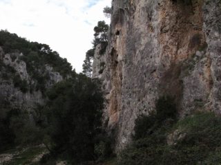 Settore il Mito