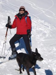 Il mitico cane Tofi