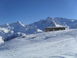 in arrivo al ricovero Capitano Crosa