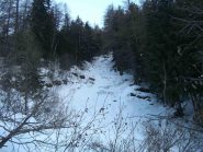 iniziale gorgia infame