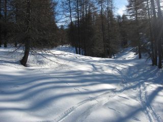 scendendo, ampi spazi di fantastica farina!